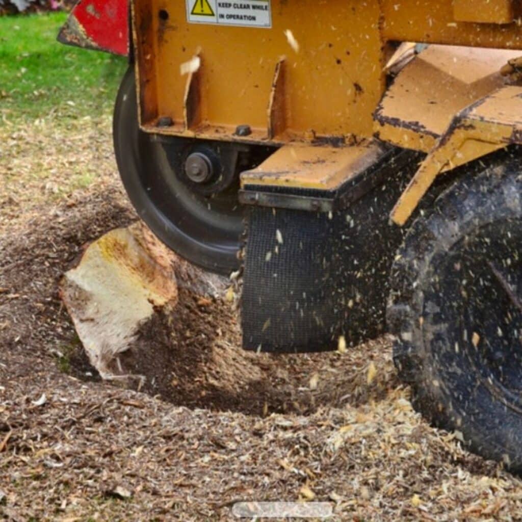 A close-up of a stump grinder chipping away at a tree stump