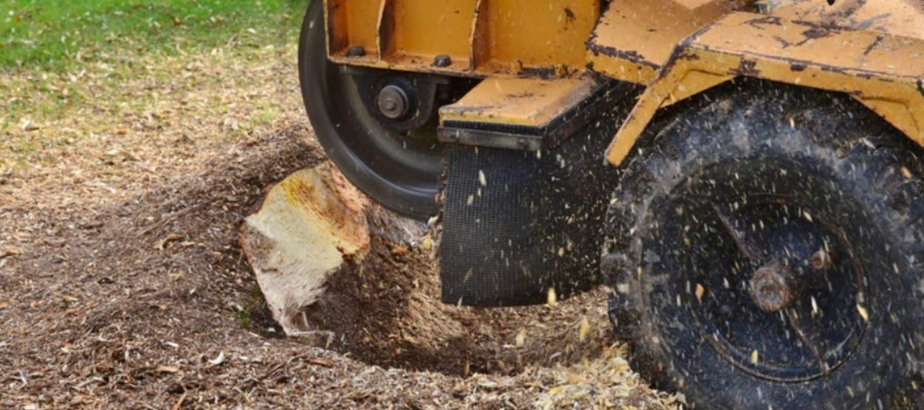 A close-up of a stump grinder chipping away at a tree stump